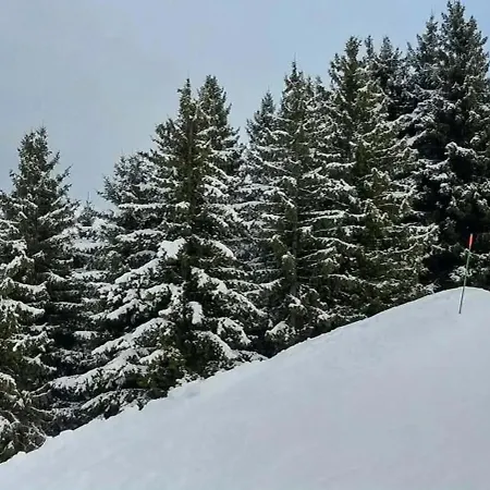 En Montagne A - 30 M² Avec Balcon דירה אלברד
