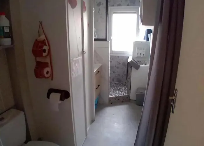En Montagne A - 30 M² Avec Balcon Apartman Allevard